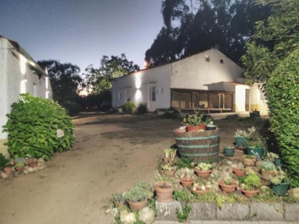 Quinta Da Mesa Villa Macinhata do Vouga Dış mekan fotoğraf