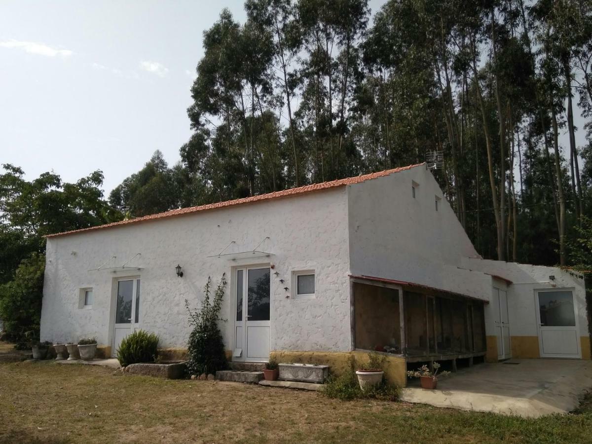 Quinta Da Mesa Villa Macinhata do Vouga Dış mekan fotoğraf